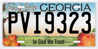 GA license plate PVI9323