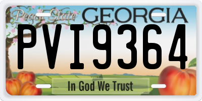 GA license plate PVI9364