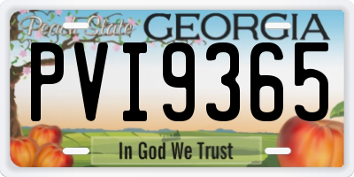 GA license plate PVI9365