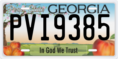 GA license plate PVI9385