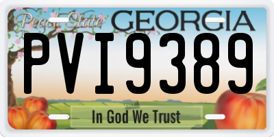 GA license plate PVI9389
