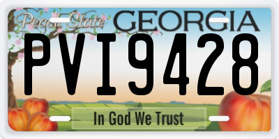 GA license plate PVI9428