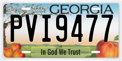 GA license plate PVI9477