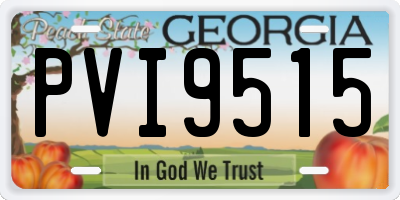 GA license plate PVI9515