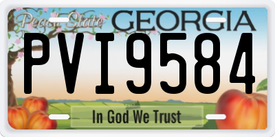 GA license plate PVI9584