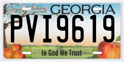 GA license plate PVI9619
