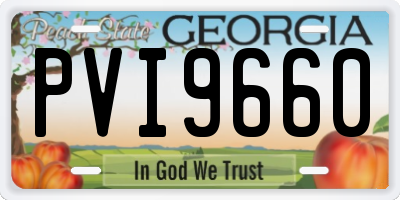 GA license plate PVI9660