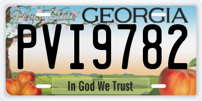 GA license plate PVI9782