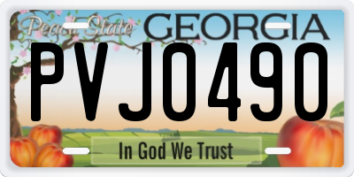 GA license plate PVJ0490