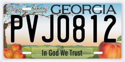GA license plate PVJ0812