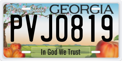 GA license plate PVJ0819
