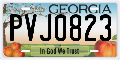 GA license plate PVJ0823