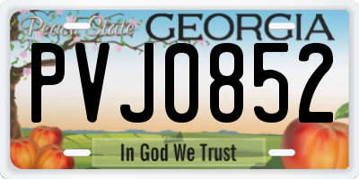 GA license plate PVJ0852