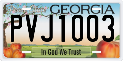 GA license plate PVJ1003