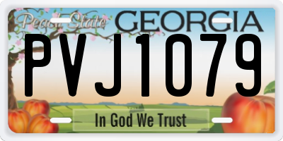 GA license plate PVJ1079