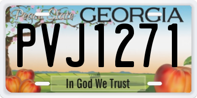 GA license plate PVJ1271
