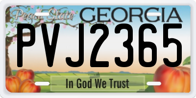 GA license plate PVJ2365