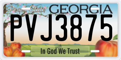 GA license plate PVJ3875