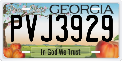 GA license plate PVJ3929