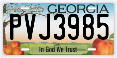 GA license plate PVJ3985