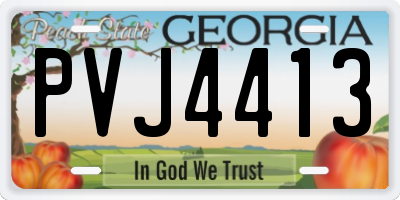 GA license plate PVJ4413