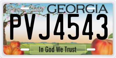 GA license plate PVJ4543