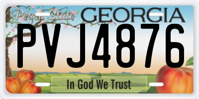 GA license plate PVJ4876