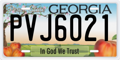 GA license plate PVJ6021