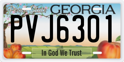 GA license plate PVJ6301