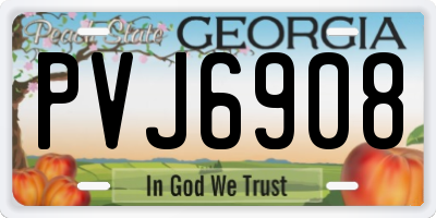 GA license plate PVJ6908