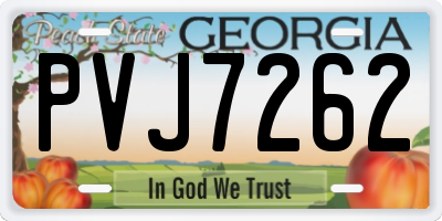 GA license plate PVJ7262