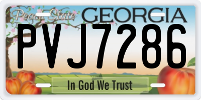 GA license plate PVJ7286