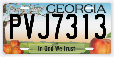 GA license plate PVJ7313