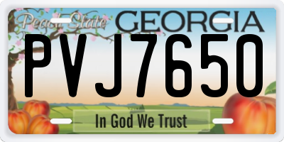 GA license plate PVJ7650