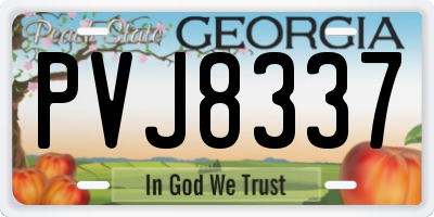 GA license plate PVJ8337