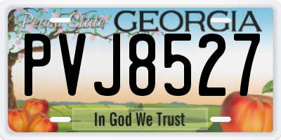 GA license plate PVJ8527