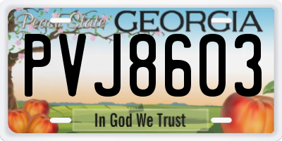 GA license plate PVJ8603