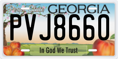 GA license plate PVJ8660