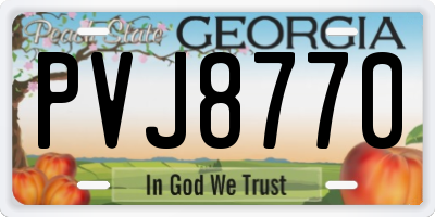 GA license plate PVJ8770
