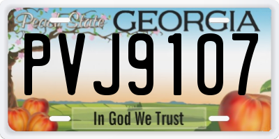 GA license plate PVJ9107