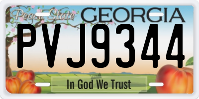 GA license plate PVJ9344