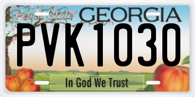 GA license plate PVK1030