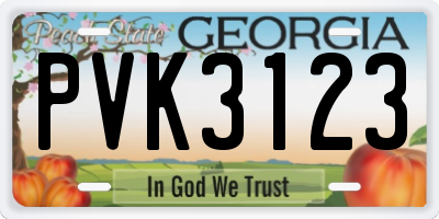 GA license plate PVK3123