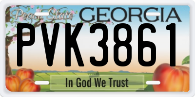 GA license plate PVK3861