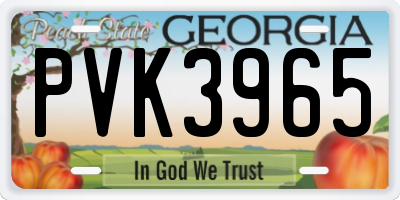 GA license plate PVK3965