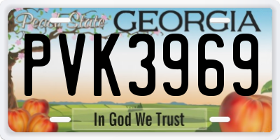 GA license plate PVK3969