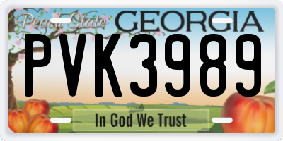 GA license plate PVK3989