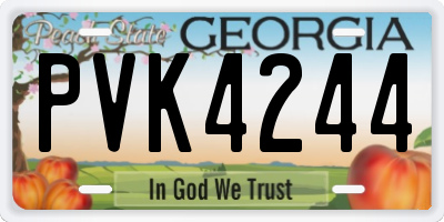 GA license plate PVK4244