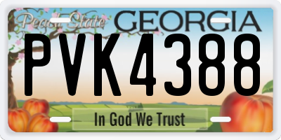 GA license plate PVK4388