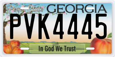 GA license plate PVK4445